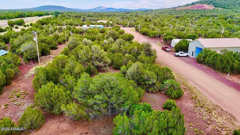 20250906013625989261000000-o