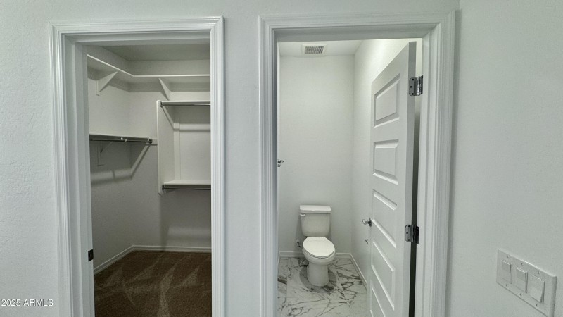 master walkin closet#1