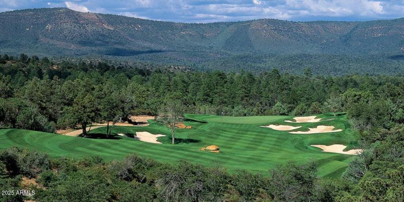 CP GC #3