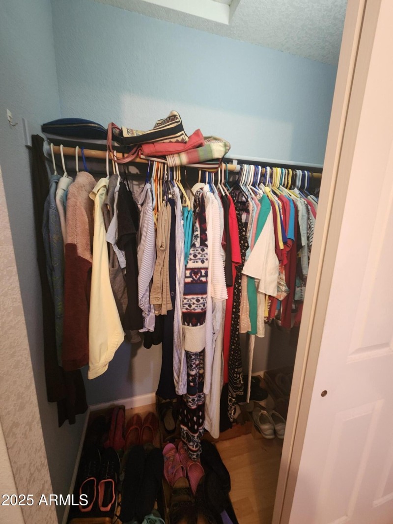 Primary closet