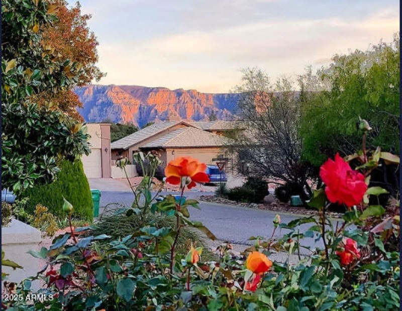 Owner's own photo of courtyard view