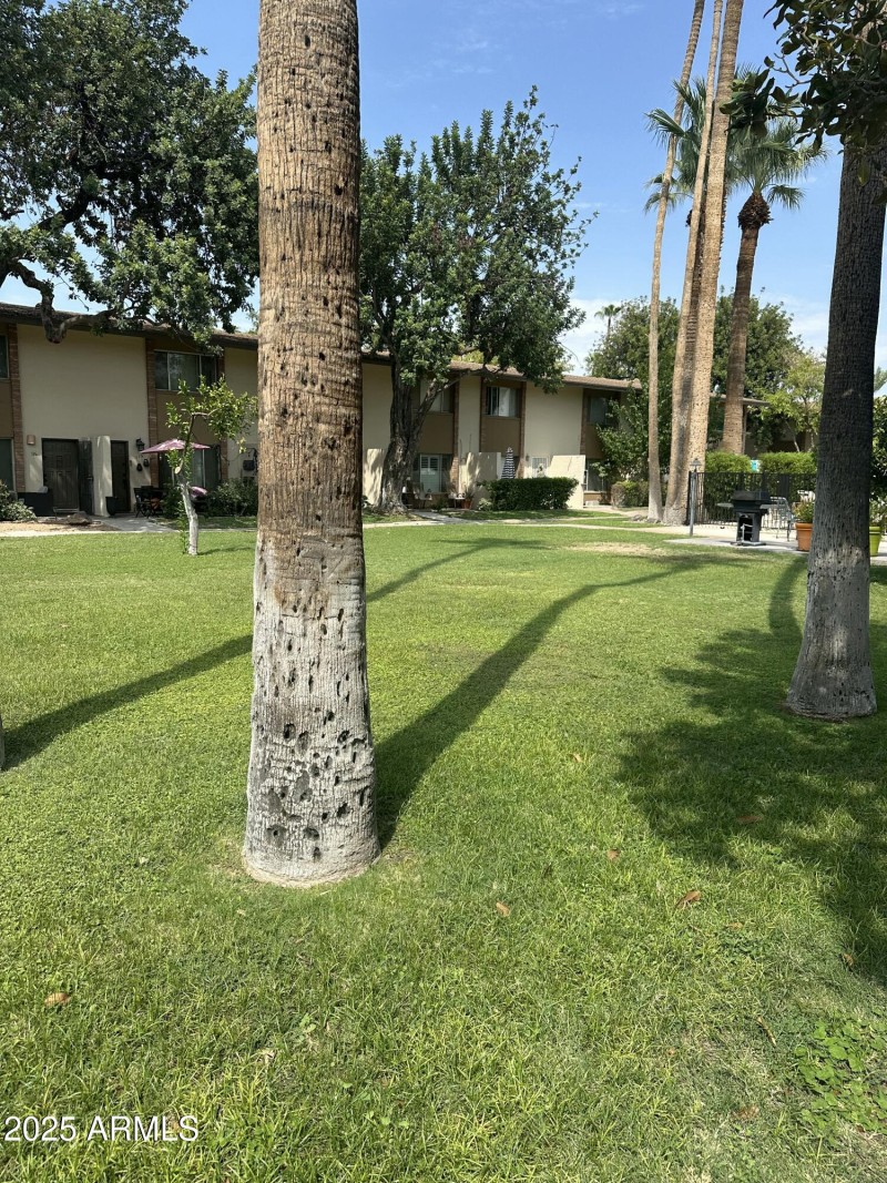 community area