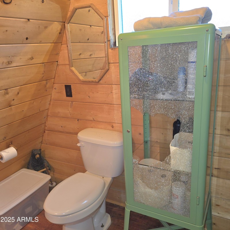 Bath Toilet & Window