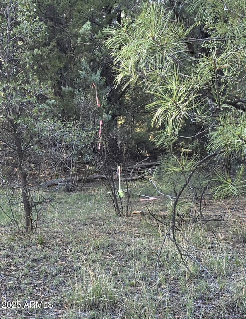 Survey Pin on TNF - N end