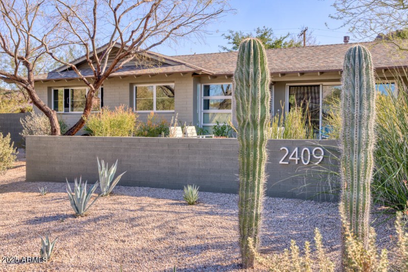 Desert modern