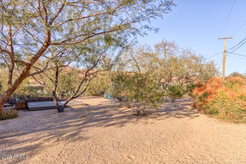 Expansive yard