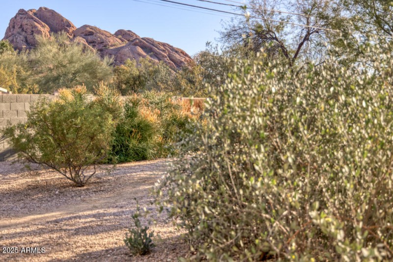 Papago