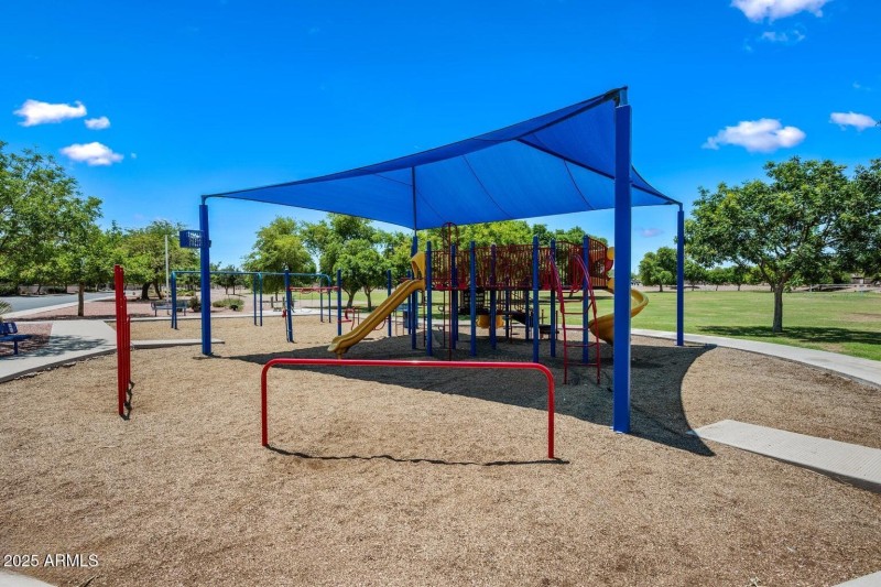 Jungle Gym