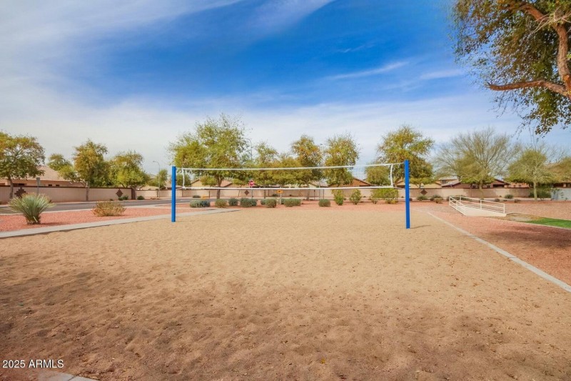 sand volley ball