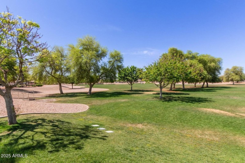 Park and Trees