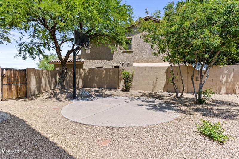 Backyard Basketball Hoop