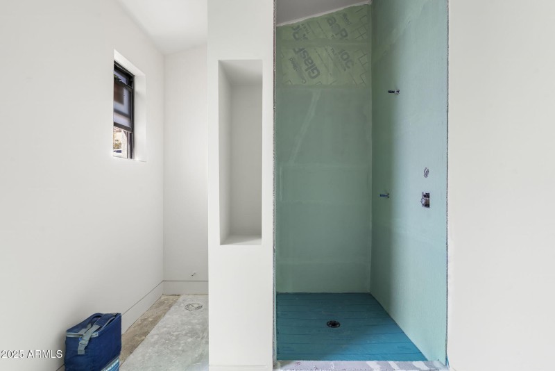 Primary bathroom shower