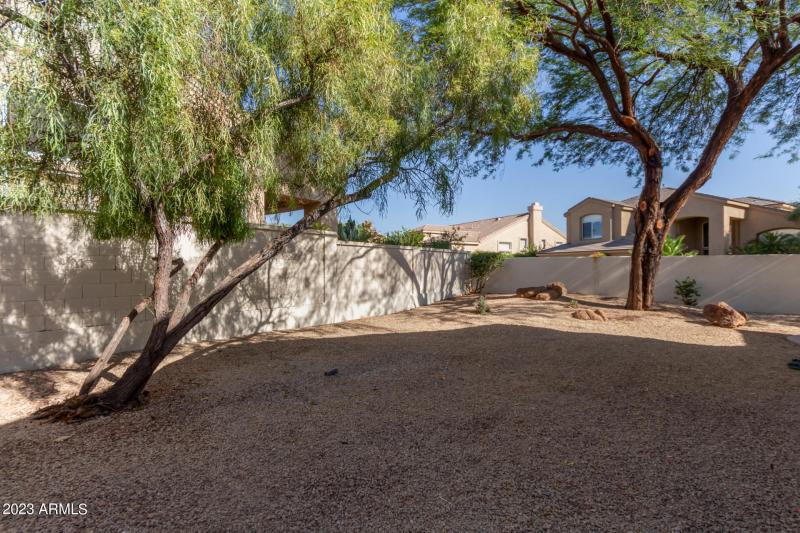 Large Open backyard open space