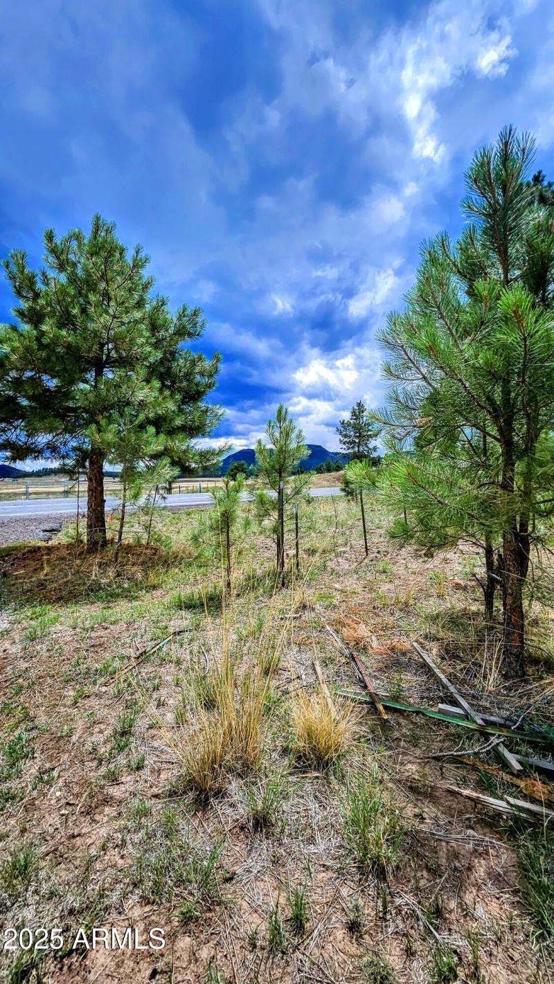 20250816_121633-EDIT