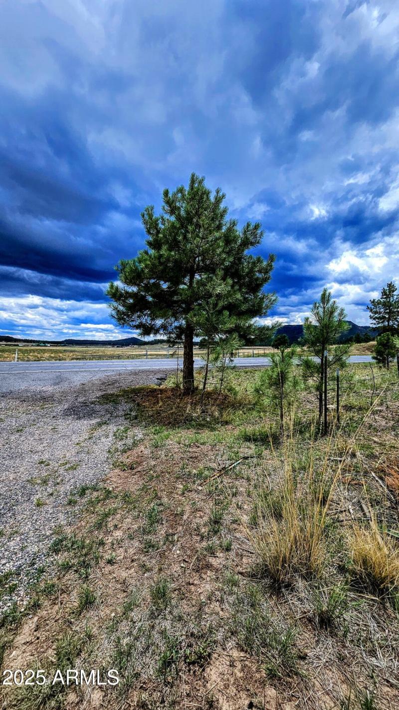 20250816_121634-EDIT