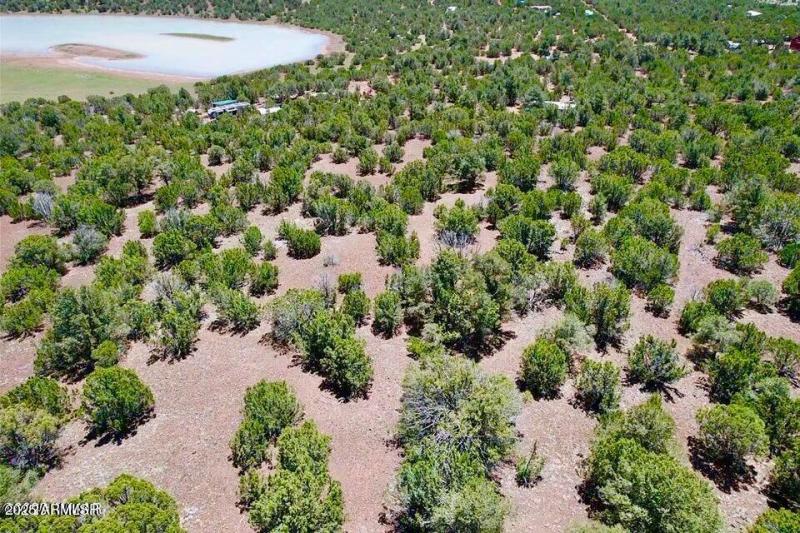 20250906065059811102000000-o