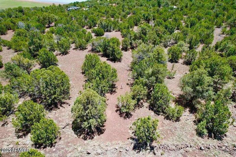 20250906065040160555000000-o