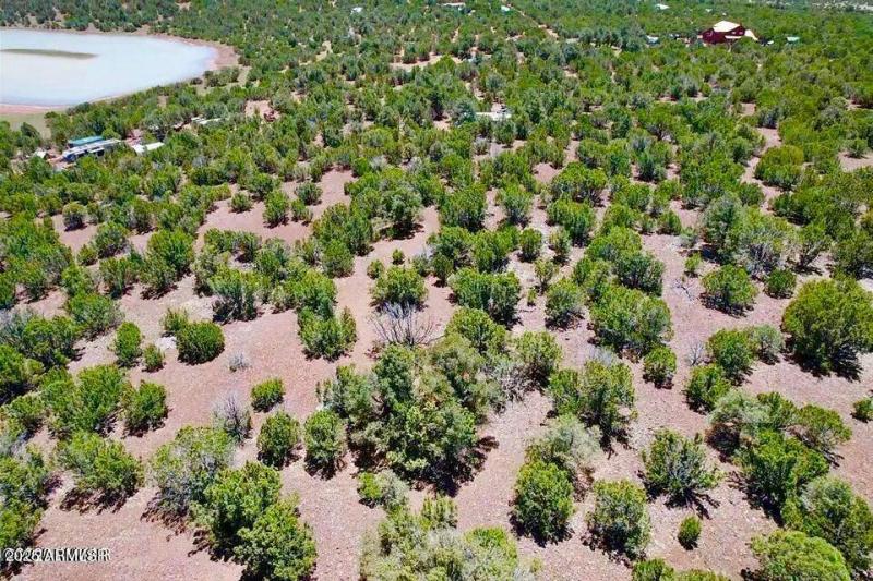 20250906065218829096000000-o