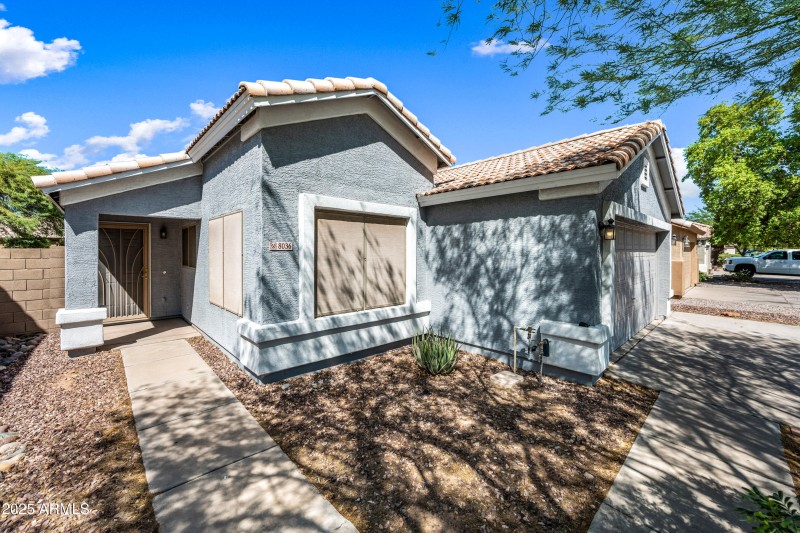 Shade Screens on the Windows