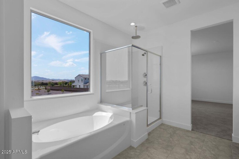 17149 W Sweet Iron Pass - Ready Now!