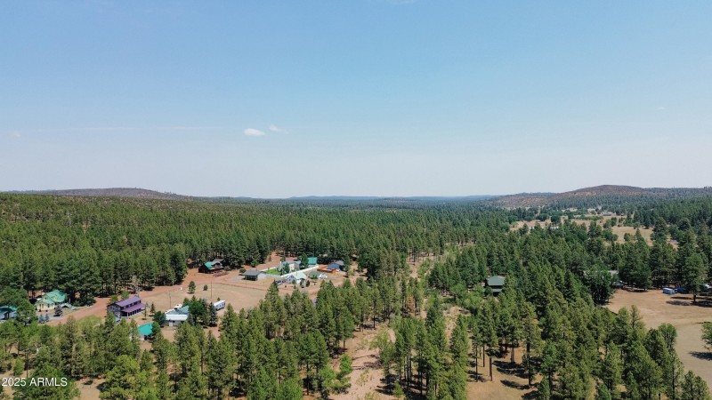 Surrounded by Forest