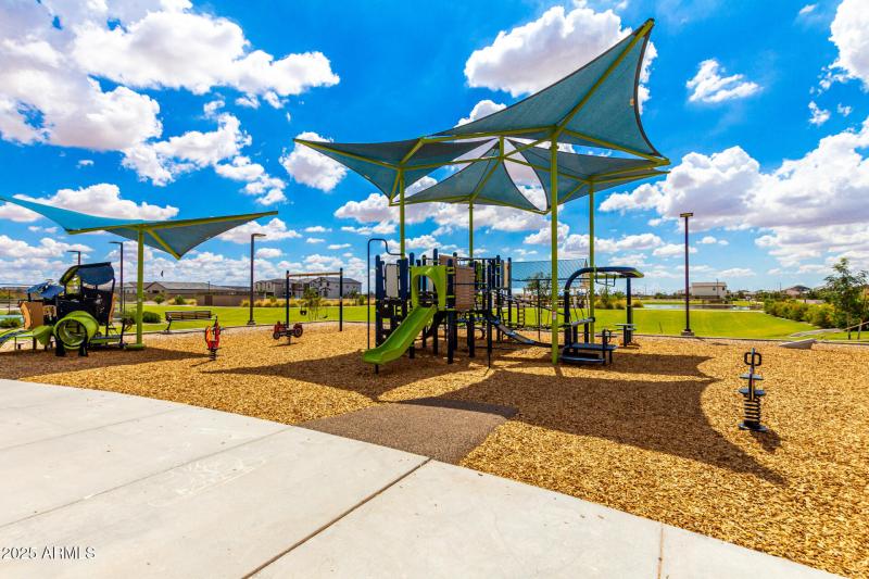 New Bonnet - Community 7