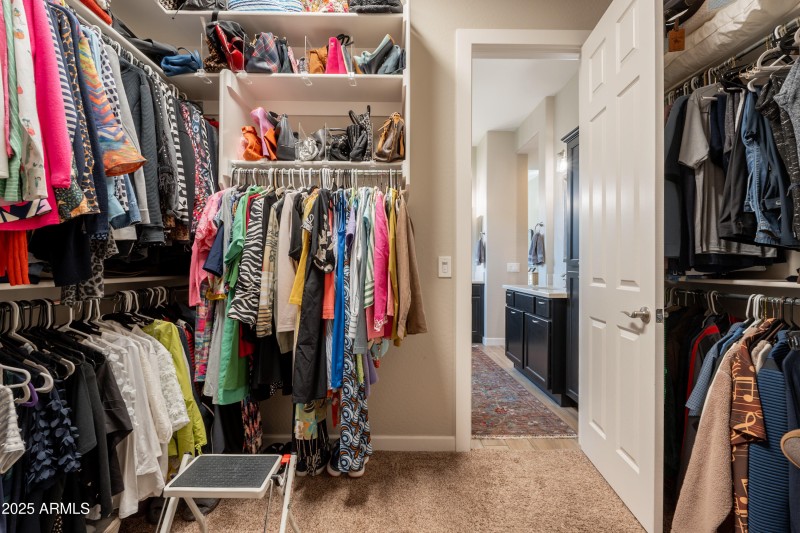 32-print-Clementine-32