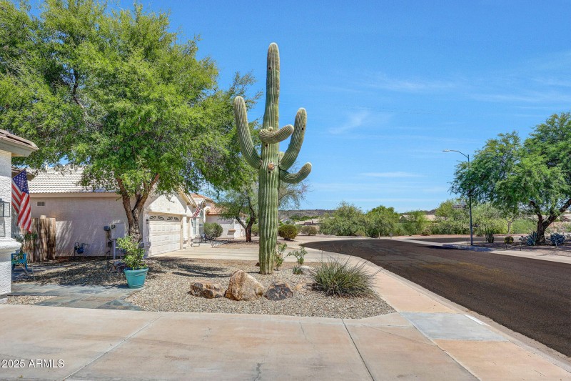 Front Yard Mountain Views