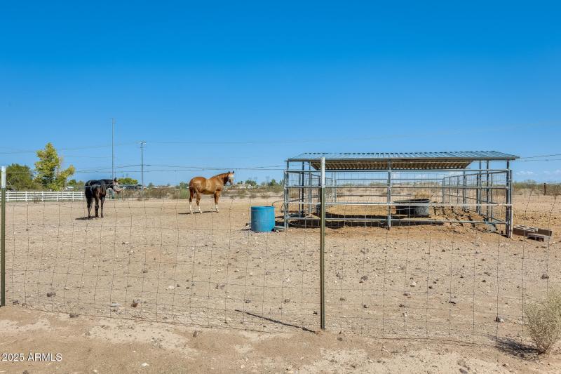 Cow pen and fenced area for horses