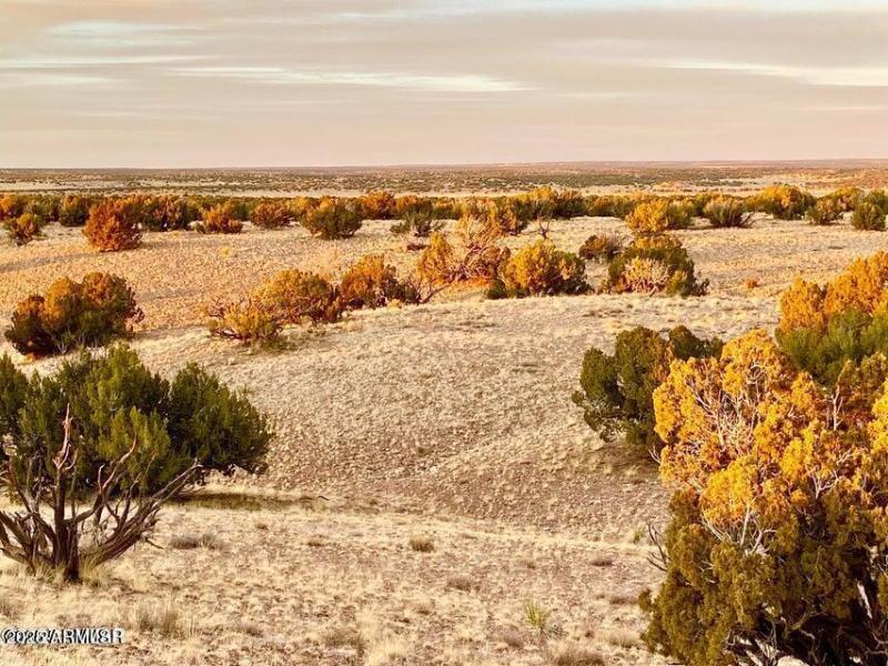 20250909224359355496000000-o