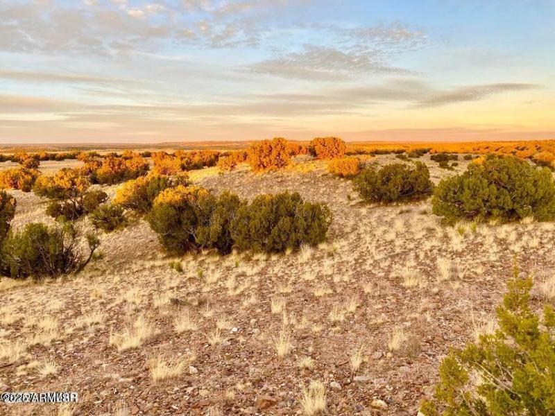 20250909224616724924000000-o