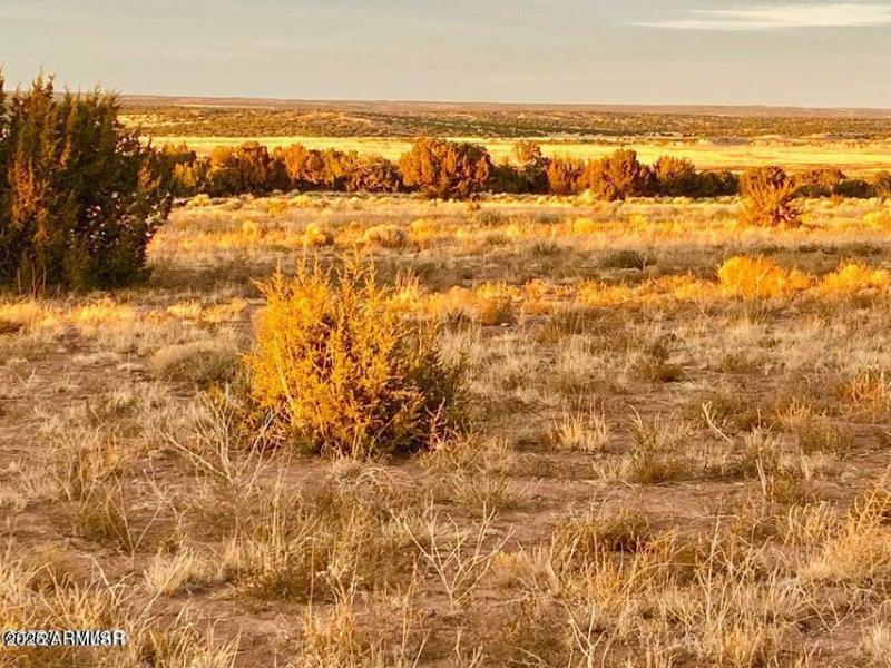 20250909224839390846000000-o