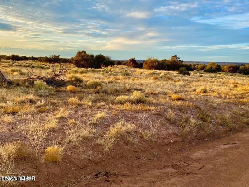 20250909224947115140000000-o