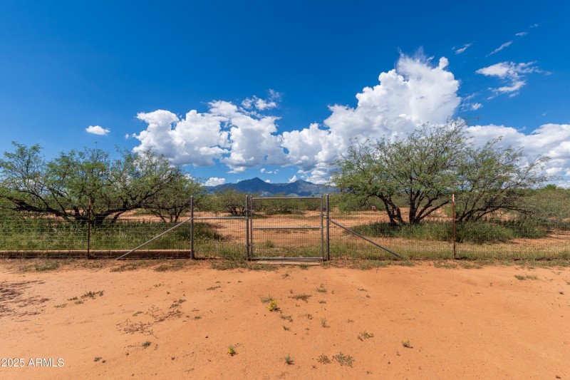 Rear Gate