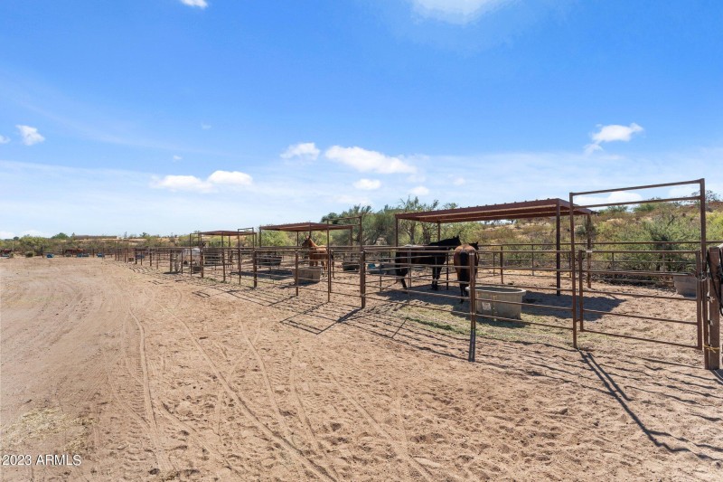 101-web-or-mls-2023-10-25 01.46.22-1