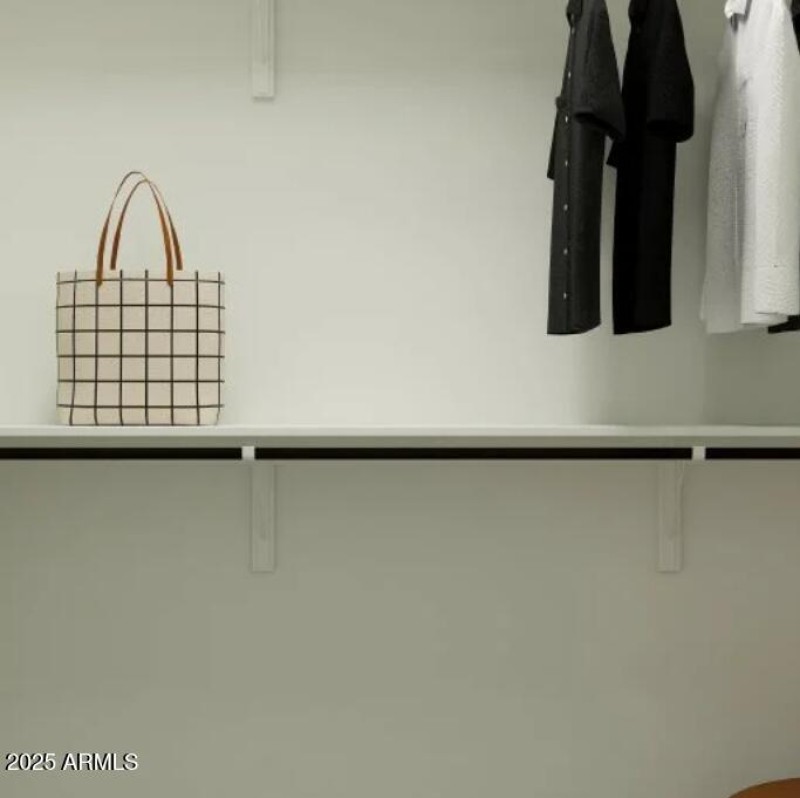 Owners Walk in Closet