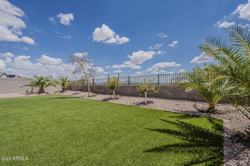 Low Maintenance Backyard