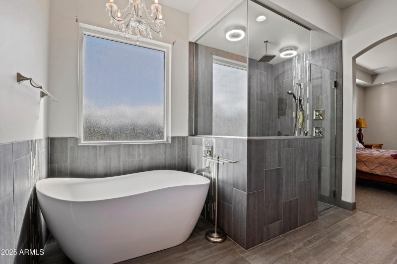 Master Bathroom Soaking Tub & Separate