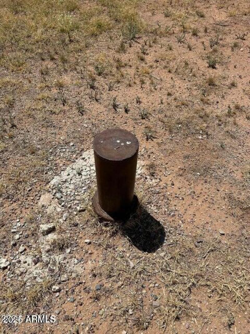 20241007013535263816000000-o