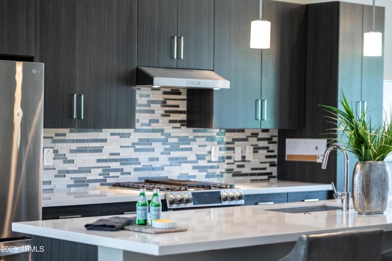 1717 E Morten Ave #62-13