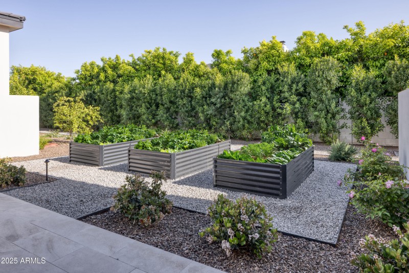 Herb and Vegetable Garden