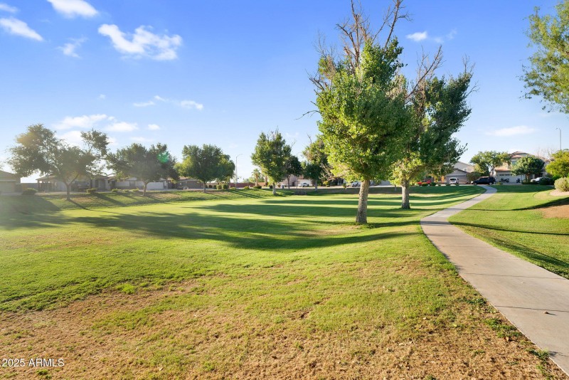 60-web-or-mls-DSC01713