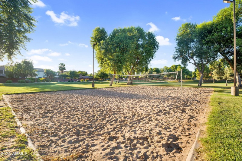 61-web-or-mls-DSC01743