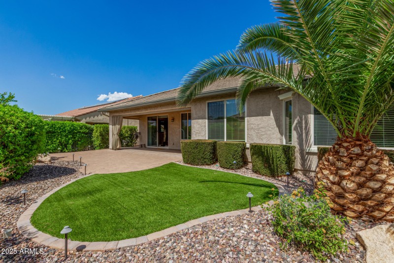 Turf for lowcare landscaping!