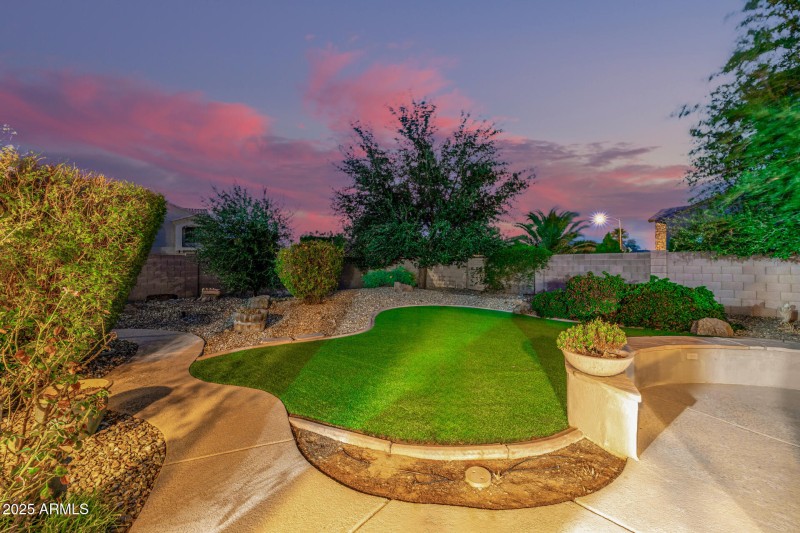 Backyard - Artificial Turf