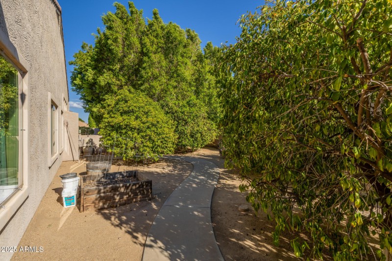 Sideyard with Citrus