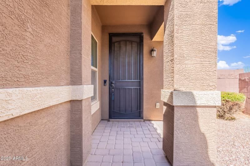 4-web-or-mls-Tulip-4