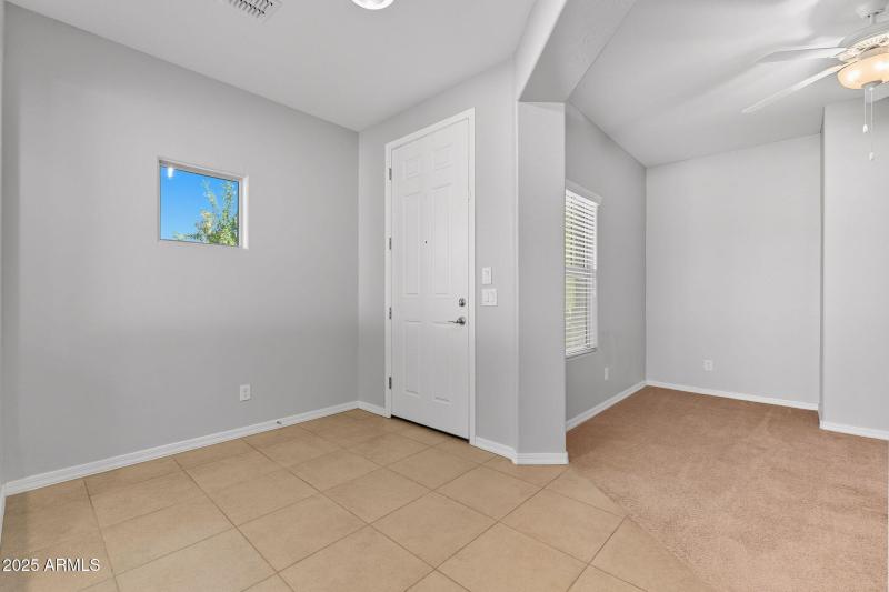 5-web-or-mls-Tulip-5