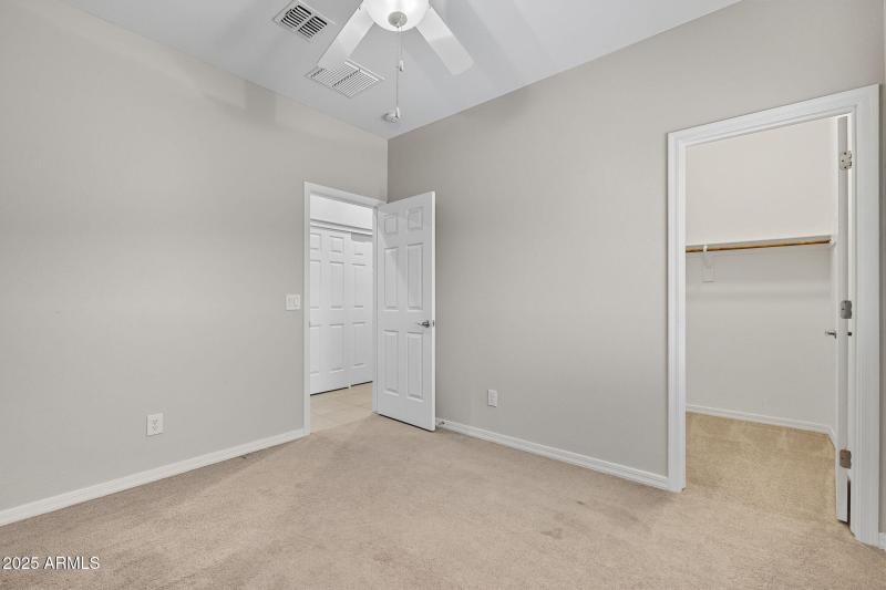 30-web-or-mls-Tulip-30