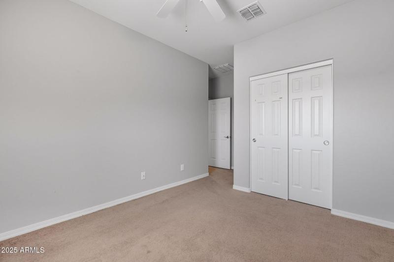 33-web-or-mls-Tulip-33